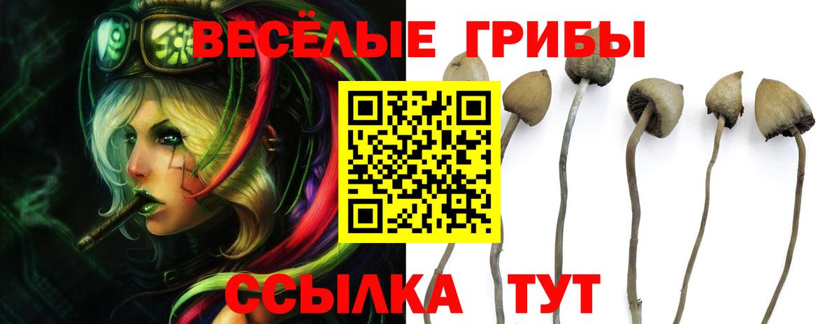 Чусовой  Псилоцибиновые грибы прущие грибы  Вход с VPN 
